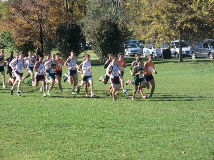 Boys and Girls Cross Country Soaring Into Sectionals