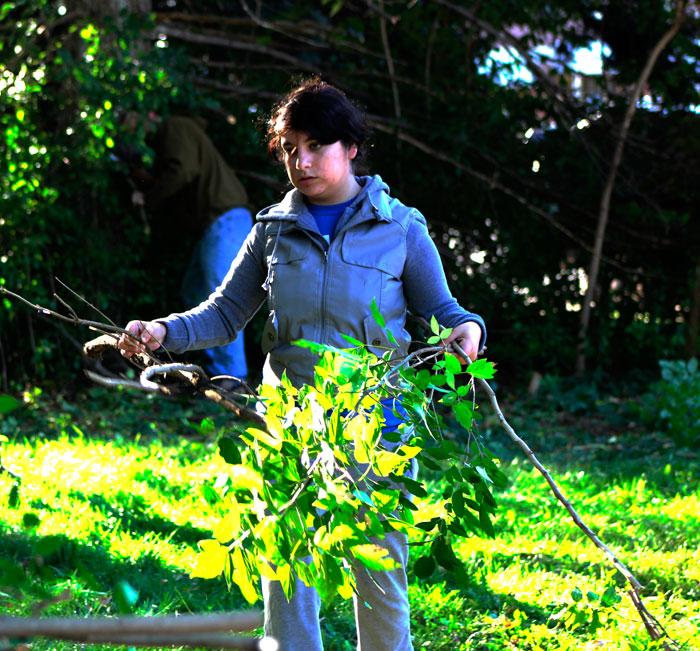 Cindy De Soto, junior, helping clear shrubs and bushes on Make A Difference Day. 
