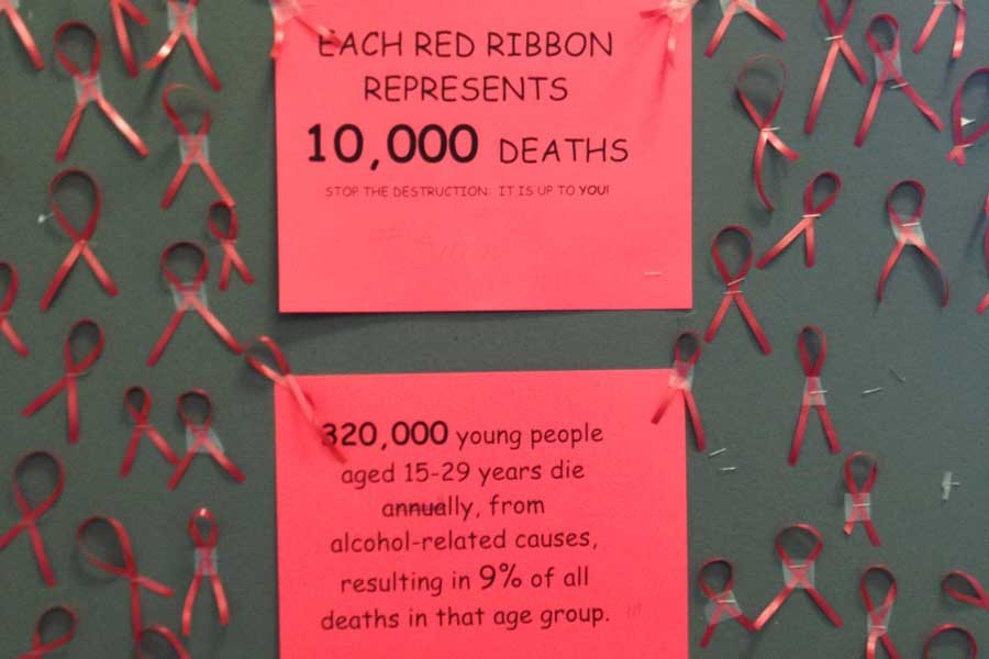 Snowball decorated bulletin boards around school with tiny red ribbons that represents a certain number of deaths due to drugs/alcohol each year