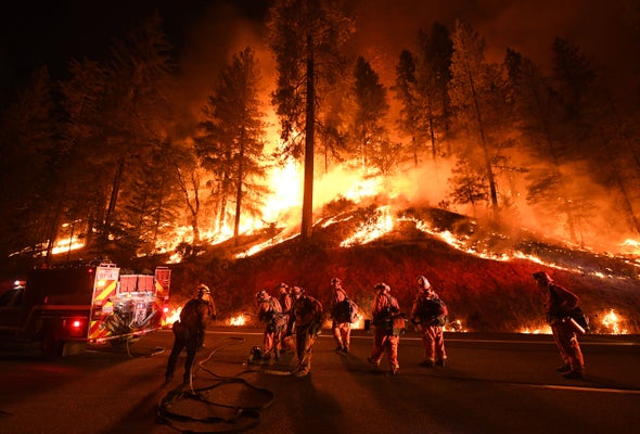 Wildfires: Social Media Influence